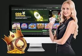 119bet apk